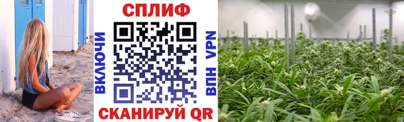 Шишки марихуана Amnesia blacksprut сайт Ивантеевка